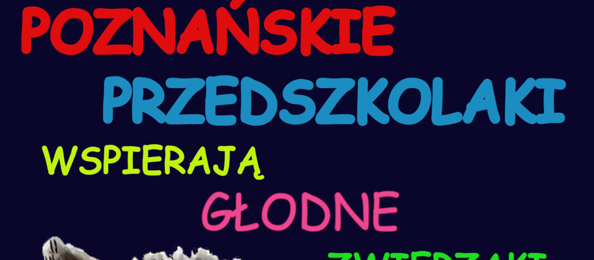 Zbiórka karmy dla zwierząt.